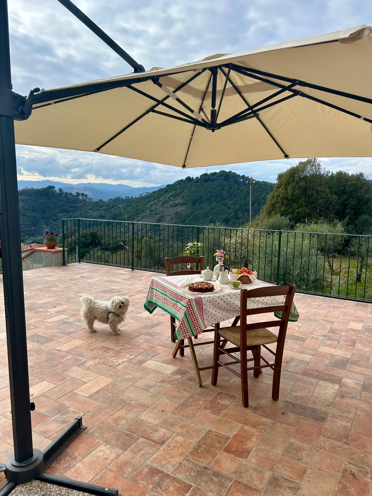 cagnolino appartamento vacanze  Il Grottino di Sarzana